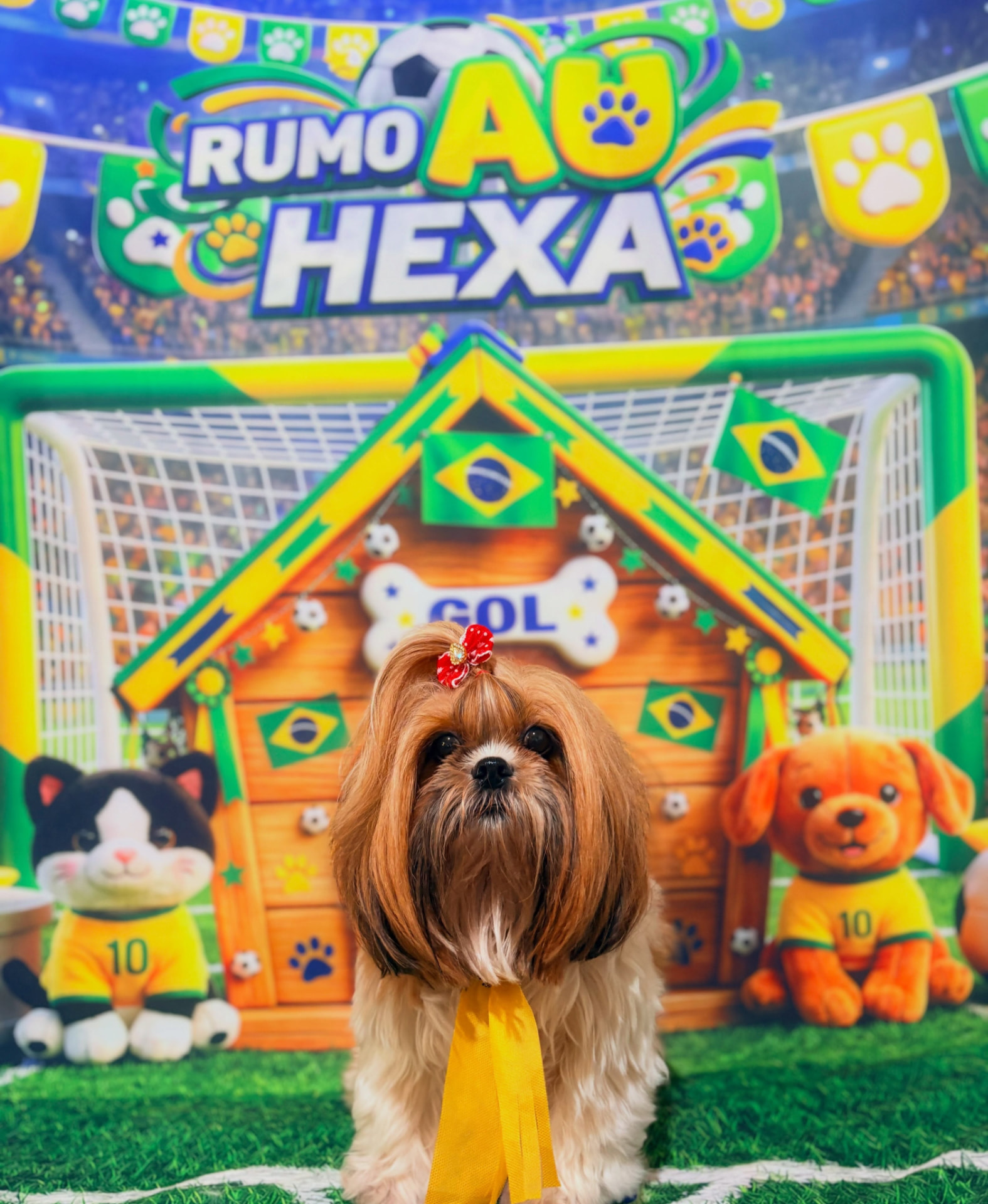 Cachorro com laço amarelo na decoração Rumo ao Hexa da DOGSPOT
