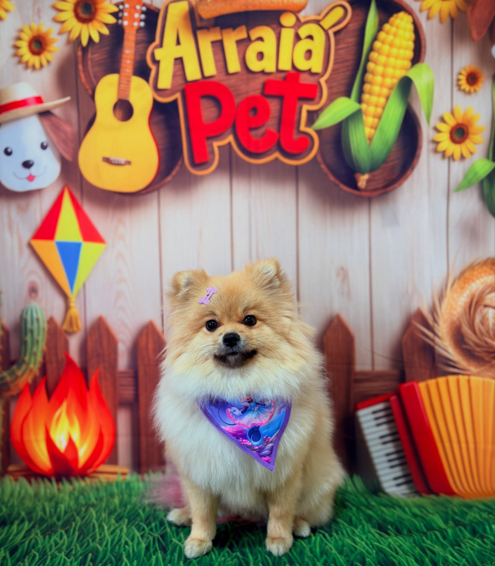 Cachorro na decoração temática Arraiá Pet da DOGSPOT